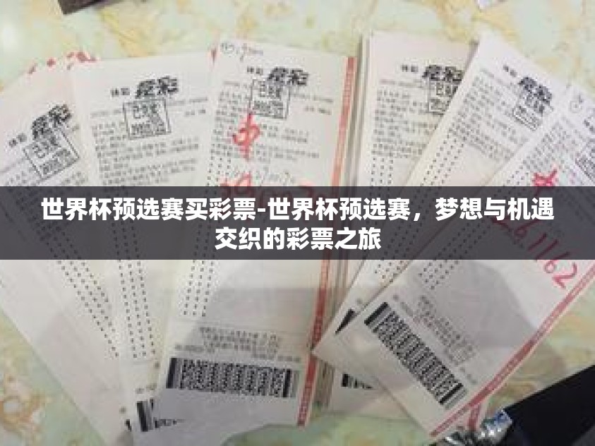 世界杯预选赛买彩票-世界杯预选赛，梦想与机遇交织的彩票之旅