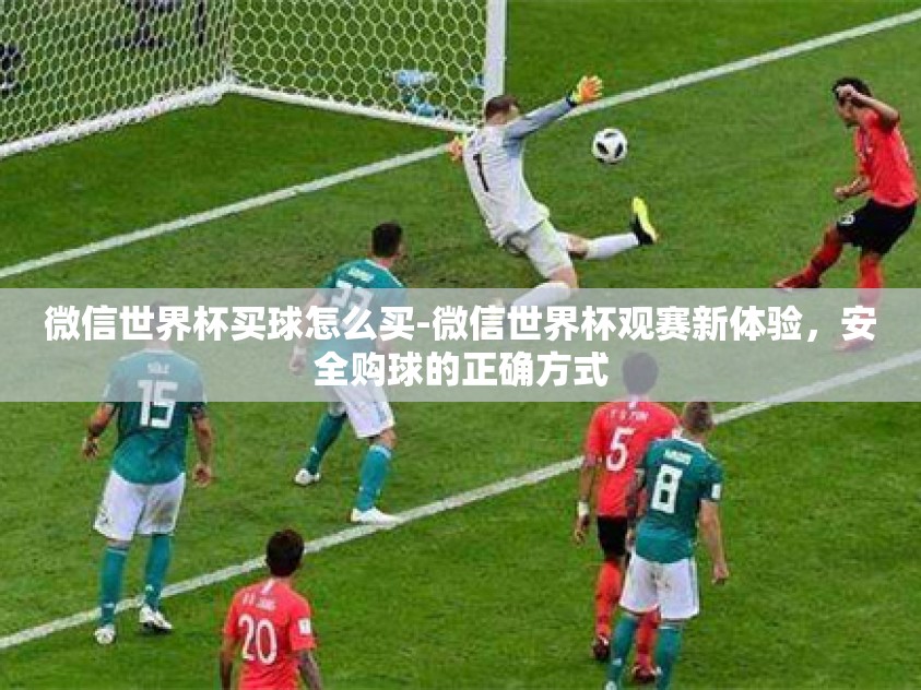 微信世界杯买球怎么买-微信世界杯观赛新体验，安全购球的正确方式