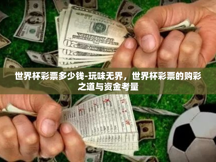 世界杯彩票多少钱-玩味无界，世界杯彩票的购彩之道与资金考量
