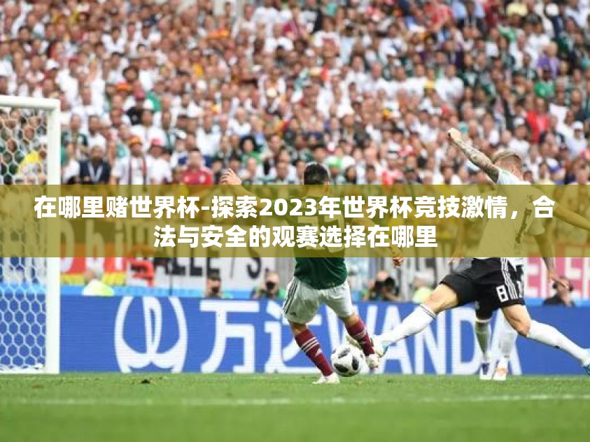 在哪里赌世界杯-探索2023年世界杯竞技激情，合法与安全的观赛选择在哪里