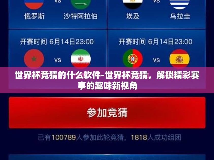 世界杯竞猜的什么软件-世界杯竞猜，解锁精彩赛事的趣味新视角
