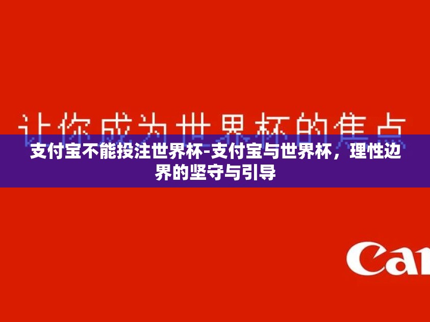 支付宝不能投注世界杯-支付宝与世界杯，理性边界的坚守与引导