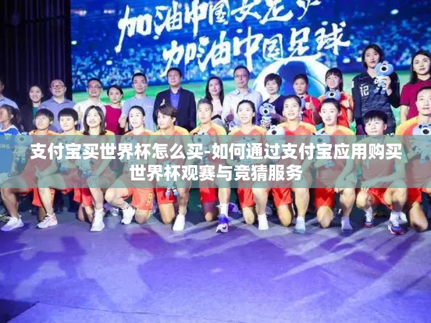 支付宝买世界杯怎么买-如何通过支付宝应用购买世界杯观赛与竞猜服务