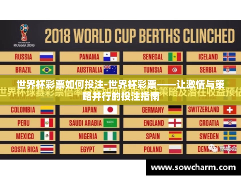 世界杯彩票如何投注-世界杯彩票——让激情与策略并行的投注指南