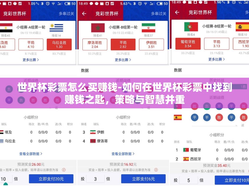 世界杯彩票怎么买赚钱-如何在世界杯彩票中找到赚钱之匙，策略与智慧并重
