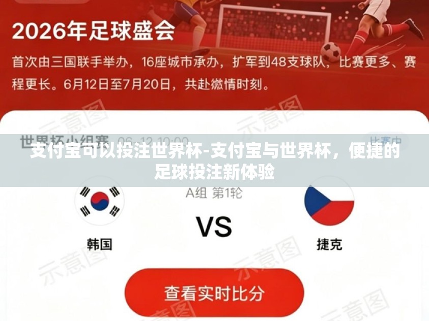 支付宝可以投注世界杯-支付宝与世界杯,便捷的足球投注新体验 支付宝可以投注世界杯-支付宝与世界杯,便捷的足球投注新体验