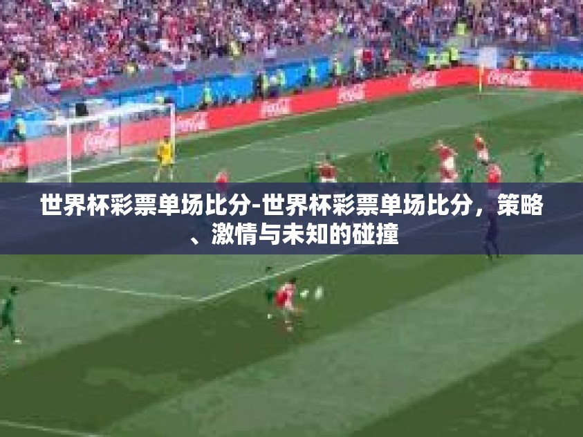 世界杯彩票单场比分-世界杯彩票单场比分，策略、激情与未知的碰撞