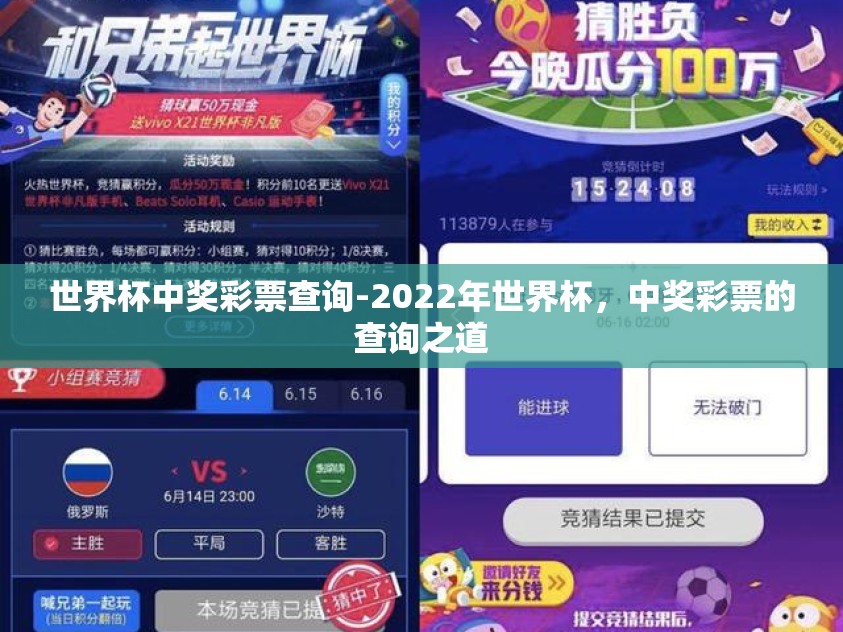 世界杯中奖彩票查询-2022年世界杯，中奖彩票的查询之道