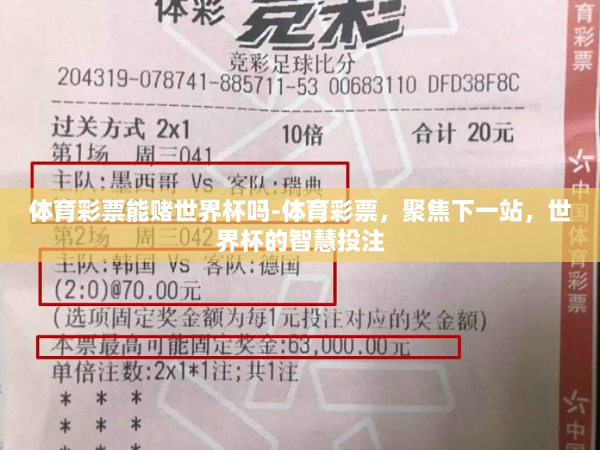 体育彩票能赌世界杯吗-体育彩票，聚焦下一站，世界杯的智慧投注