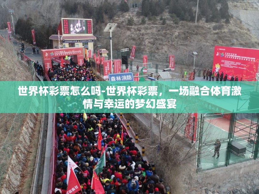 世界杯彩票怎么吗-世界杯彩票，一场融合体育激情与幸运的梦幻盛宴
